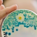 The alarming rise of nightmare bacteria: 70% increase in infections