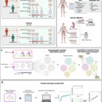Psoriasis biomarkers