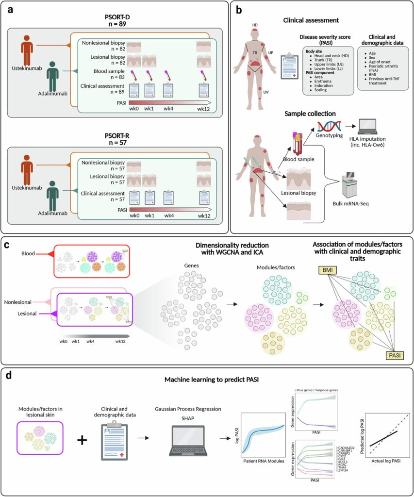 Psoriasis biomarkers