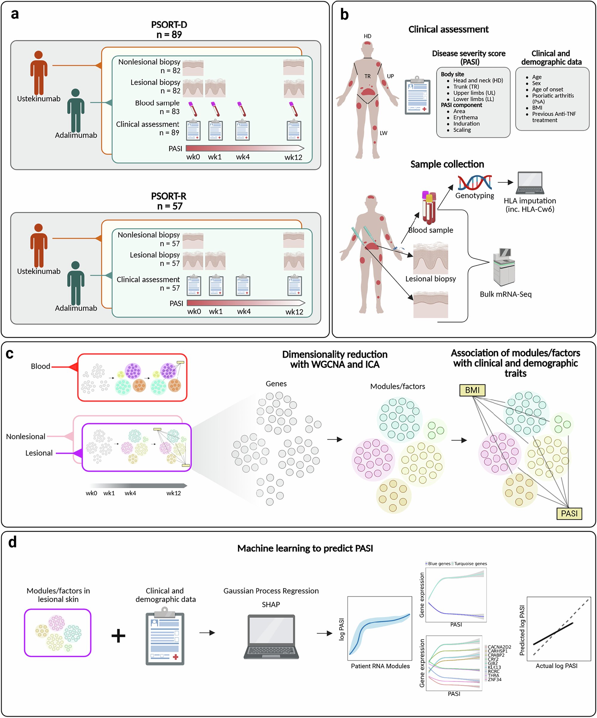 Psoriasis biomarkers