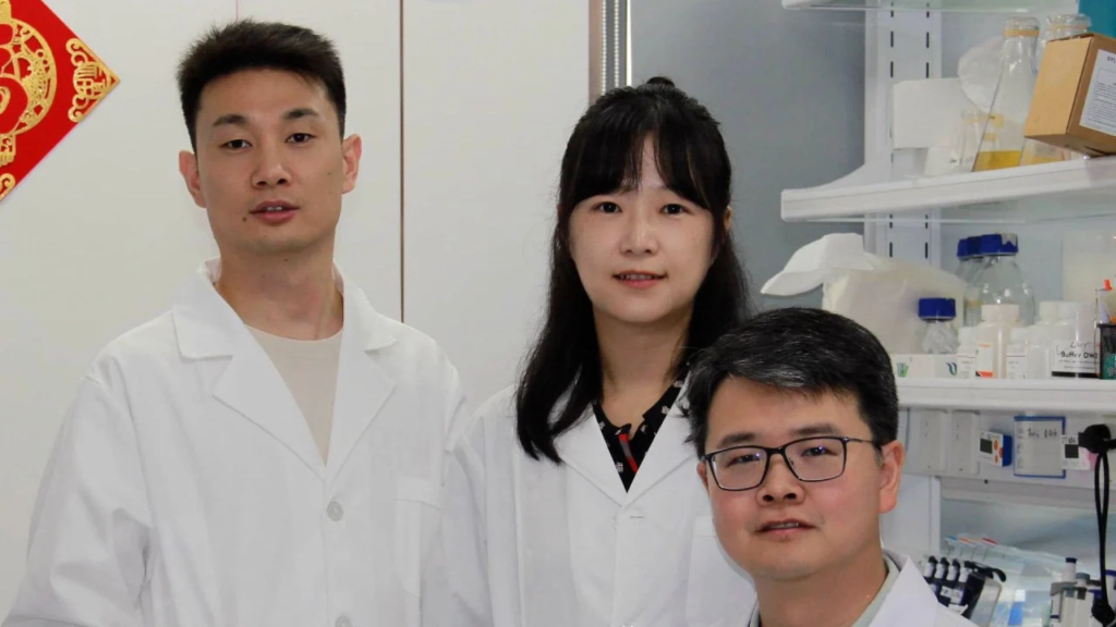 Scientists Develop Smart Probiotic That Can Sense Blood Sugar